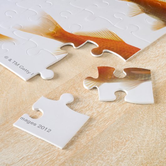 Goldvis Legpuzzel (Zijkant)