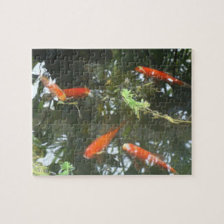 Goldvis Legpuzzel