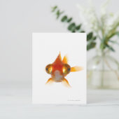 Goldvis met ogen 2 briefkaart (Staand voorkant)