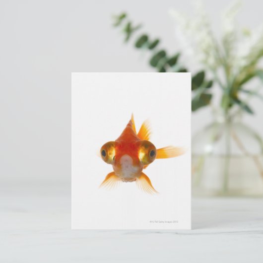 Goldvis met ogen 2 briefkaart (Staand voorkant)