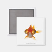 Goldvis met ogen 2 magneet (Voorkant / Achterkant)