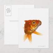 Goldvis met ogen 3 briefkaart (Voorkant / Achterkant)