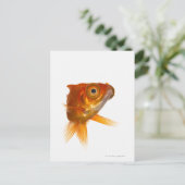Goldvis met ogen 3 briefkaart (Staand voorkant)