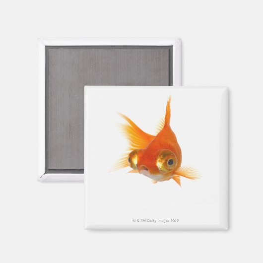 Goldvis met ogen magneet (Voorkant / Achterkant)