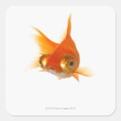 Goldvis met ogen vierkante sticker (Voorkant)