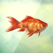 Goldvis Raamsticker (Vel 3)