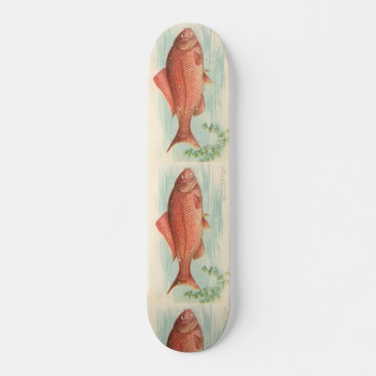 Goldvis Skateboard (Voorkant)