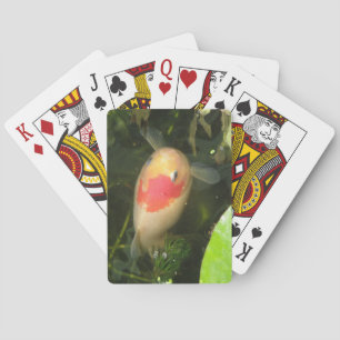 Goldvis-spelkaarten Pokerkaarten