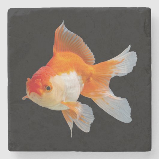 Goldvis Stenen Onderzetter (Voorkant)