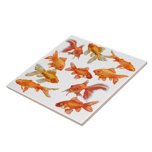 Goldvis Tegeltje (Zijkant)