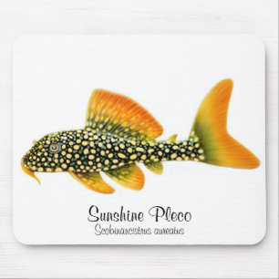 Goldy Sunshine Pleco Mousepad Muismat