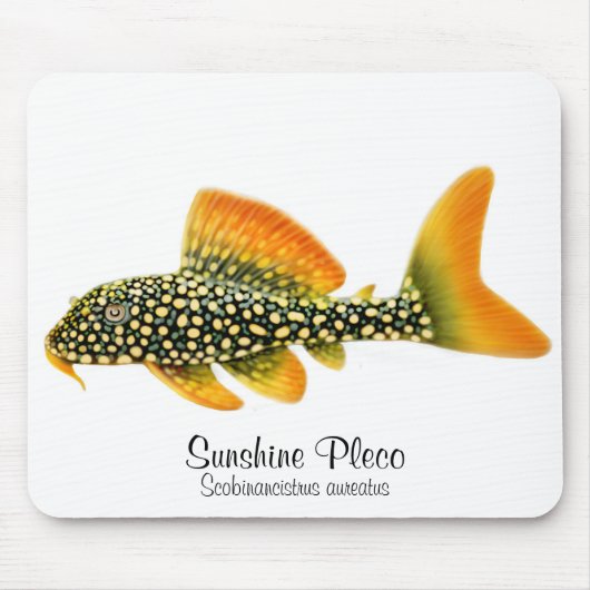 Goldy Sunshine Pleco Mousepad Muismat (Voorkant)