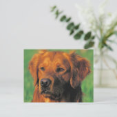 Golen Retriever briefkaart (Staand voorkant)