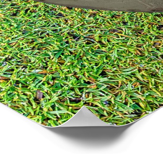 Golf-afbeeldingen Poster (Hoek)