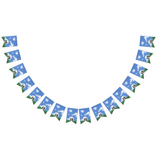 Golf Ball voor 16e verjaardag Bunting Flags Vlaggetjes (Alle)