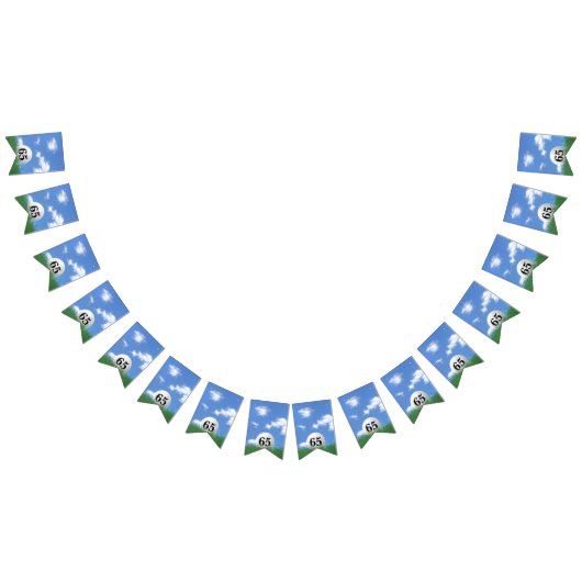 Golf Ball voor 65ste verjaardag Bunting Flags Vlaggetjes (Alle)