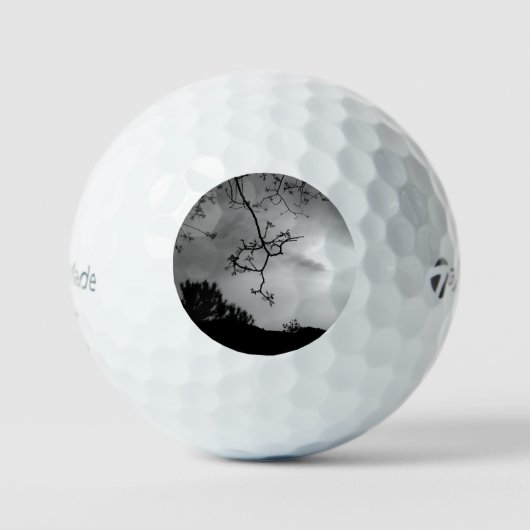 GOLF BALLEN TAYLOR MADE TP5 (Voorkant)