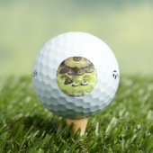 GOLF BALLEN TAYLOR MADE TP5 (Insitu Shirt)