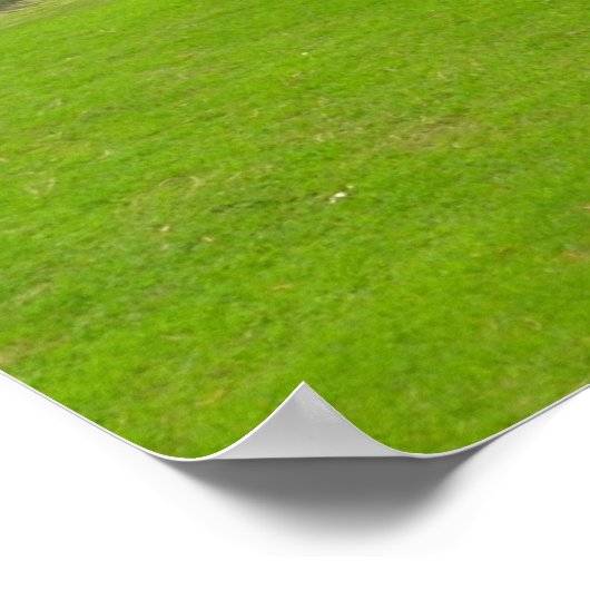 Golf Course Fairway Poster (Hoek)