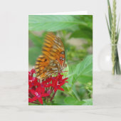Golf Fritillaire vlinder op rode penta bloem Kaart (Voorkant)