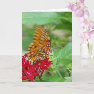 Golf Fritillaire vlinder op rode penta bloem Kaart
