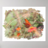 Golf Fritillary on Zinnia Waterverf Print (Voorkant)