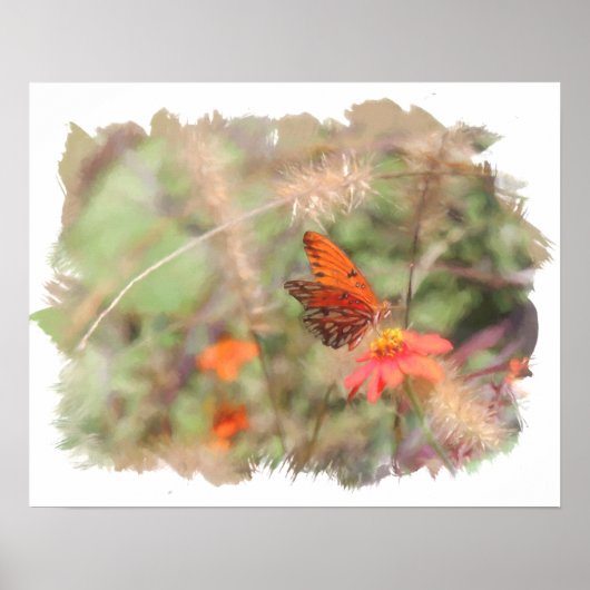 Golf Fritillary on Zinnia Waterverf Print (Voorkant)