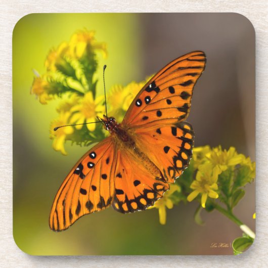 Golf Fritillary ook bekend als Passievlinder op Gu Bier Onderzetter (Voorkant)