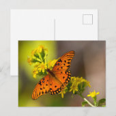 Golf Fritillary ook bekend als Passievlinder op Gu Briefkaart (Voorkant / Achterkant)