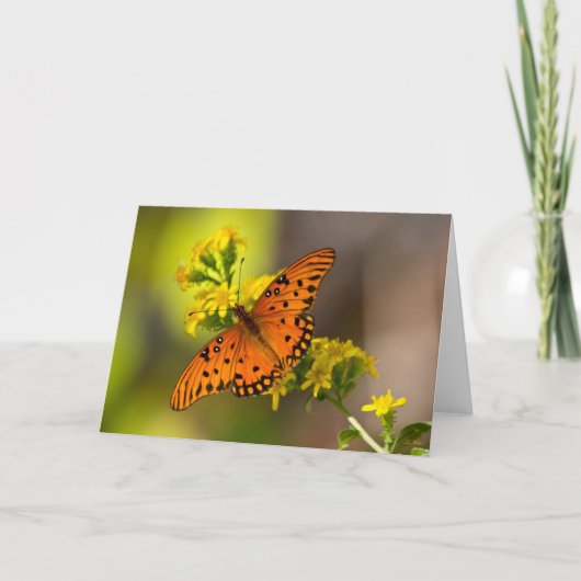 Golf Fritillary ook bekend als Passievlinder op Gu Kaart (Voorkant)