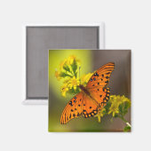 Golf Fritillary ook bekend als Passievlinder op Gu Magneet (Voorkant / Achterkant)