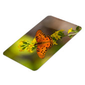 Golf Fritillary ook bekend als Passievlinder op Gu Magneet (Linkerzijde)