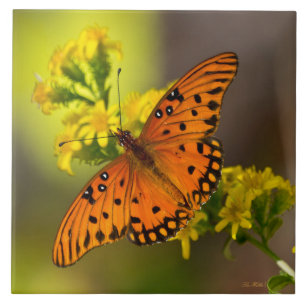 Golf Fritillary ook wel Passievlinder op Guldenroe Tegeltje