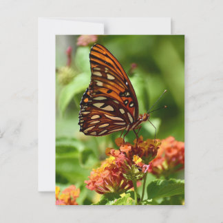 Golf Fritillary Vlinder Ansichtkaart Briefkaart