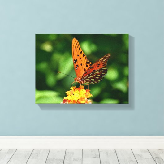 Golf fritillary Vlinder Opgespannen Canvas Print (Insitu (Houten vloer))