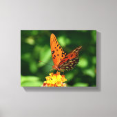 Golf fritillary Vlinder Opgespannen Canvas Print (Voorkant)