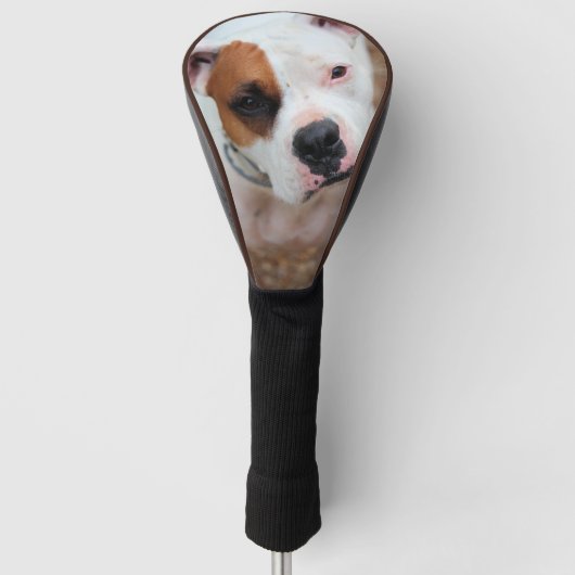 Golf Hoofd Hoes Boop Golfheadcover (Voorkant)