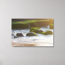 Golf Schuim Rif Algen Strand Landschap Natuur Foto