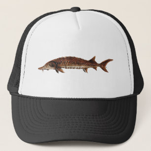 Golf Sturgeon - Acipenser oxyrinchus desotoi Trucker Pet