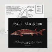 Golf Sturgeon-Black-Briefkaart Briefkaart (Voorkant / Achterkant)