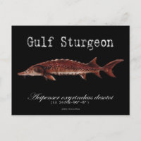 Golf Sturgeon-Black-Briefkaart