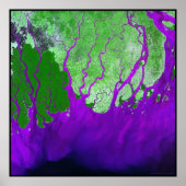 Golf van Bengalen in de delta van Ganges Poster (Voorkant)