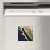 Golf van Californië Magneet (Insitu (Vaatwasser))