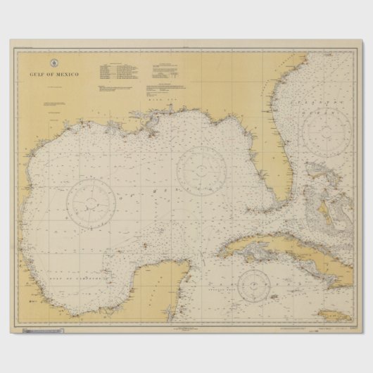  Golf van Mexico Authentic Nautical Chart Cadeaupapier (Vlak)