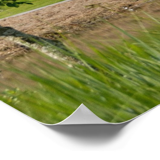 golfbaan poster (Hoek)