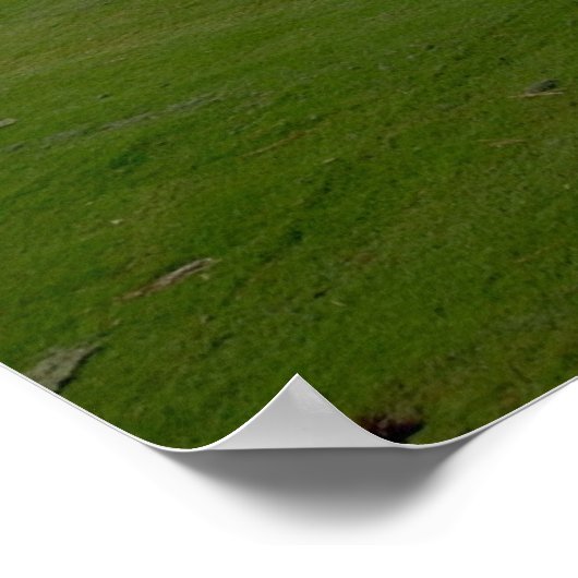 golfbaan poster (Hoek)