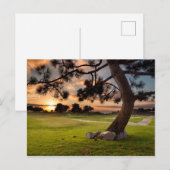 Golfbaan Zonsondergang Briefkaart (Voorkant / Achterkant)