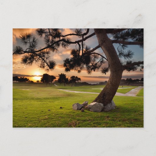 Golfbaan Zonsondergang Briefkaart (Voorkant)