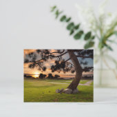 Golfbaan Zonsondergang Briefkaart (Staand voorkant)