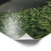 Golfbal aan de rand van het gat foto afdruk (Hoek)